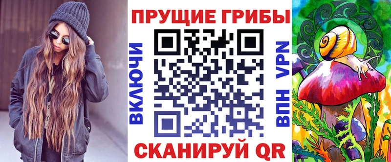 Купить где  Нижние Серги  Галлюциногенные грибы Psilocybe 